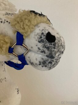 Hobby Horse - 5