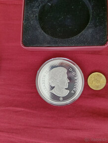 Investiční stříbro: 5 oz mince Beaver (Bobr) Canada Mint - 5