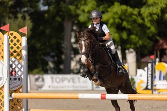 TOP sportovní pony A učitel + další pony - 5