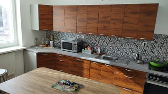 Prodej rodinného domu 4x byty+ garáž bungalov Hostomice - 5