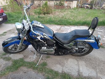 Kawasaki VN 800 - 5