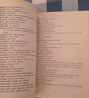 Kniha Český snář - výklad všech snů - 5