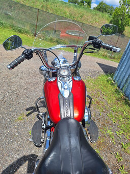 Harley Davidson FLSTC 1688cm3 - 5