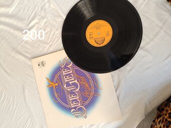 Vinyl gramofonové desky - 5