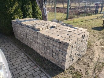 Zámková dlažba 10x20x5 - 5