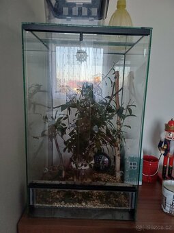 Strašilky ďábelské - 5