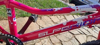 Superior Paint 20" - TOP STAV - 5