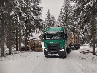 Řidič C E odvoz dříví, okolí Štětí,Teplá, Děčín,Sokolov - 5