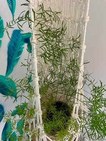 Macrame XXL na květinu s podstavcem - 5