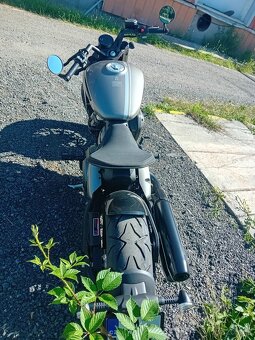 BENDA NAPOLEONBOB 500 2025 - 5