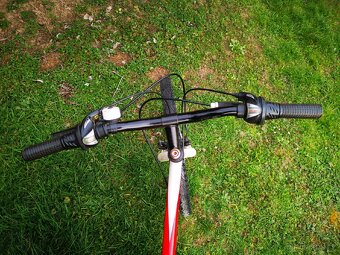 Dívčí kolo Galaxy Ruby - 5