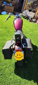 SUZUKI VS 800 - 5