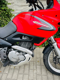 Suzuki XF 650 Freewind r.v.2000 35kW - 5