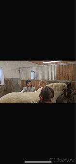 Pony - 5