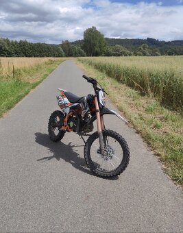 Pitbike pitbike KXD 125 - 5