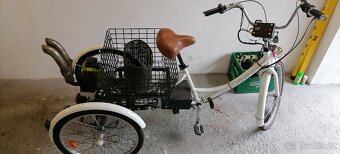 Tříkolka Leader fox - 5