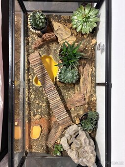 Kompletní terárium ReptiPlanet – plně vybavené - 5