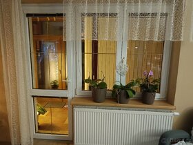 Plastové dveře a okno - 5