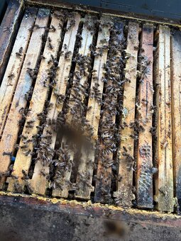 Prodám včelín,kočovný vůz,maringotku - 5