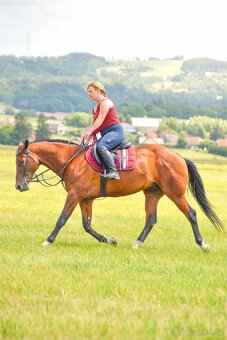 Pronájem Valáška - 5