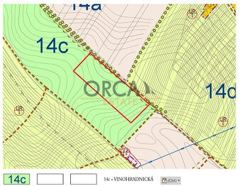 1,3 ha vinice v k.ú. Mutěnice - 5