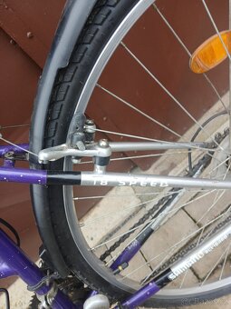 Damske kolo Author - 5