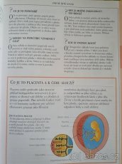 Těhotenství v otázkách a odpovědích - 5