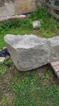 Masivni zulova kuna - 5