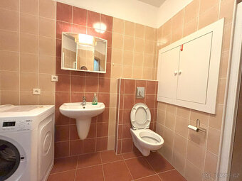 Pronájem bytu 1+kk, Goldscheiderova, Plzeň, Kč/měs, 30 m2 - 5