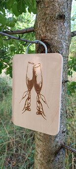 Prkénko na zdraví - 5