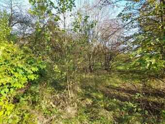 Prodej - pozemek - Hustopeče nad Bečvou - 5