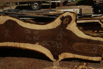 XXL ořechové fošny až 130 cm široké - 5