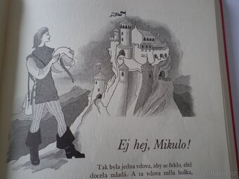 Záhon rozmarynky - 5