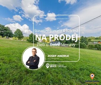 Prodej, stavební parcela, 4075 m², Žleb u Dolní Moravy - 5