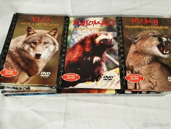 Natural Killers 19ks DVD - 5