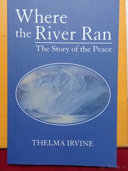 Anglické knihy, Angličtina pro samouky - 5