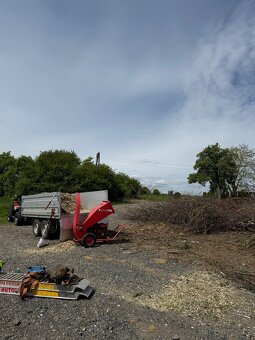 Rizikové kácení - 5