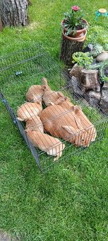 Králíci na prodej - 5