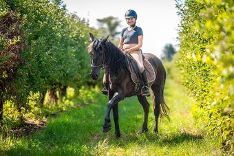 Klisna pony 147khv na rekreaci i sport - 5