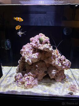 Mořské akvárium red sea max nano - 5