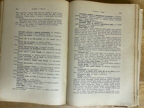 Bilzovo nové léčení přirozené první vydání 1897 - 5