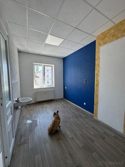 Pronájem komerčních prostor, kosmeticky salon - 5