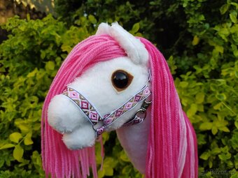 Hobby horse - 5