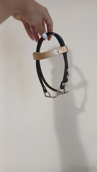 Hobby horse - 5