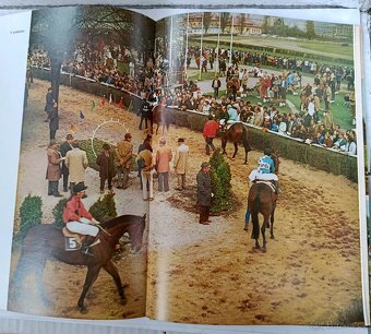 Jezdectví a dostihový sport - 5