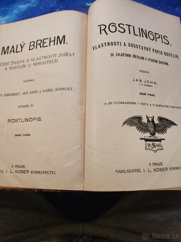 Knihy Malý Brehm komplet 1896 2.vydání Kober - 5