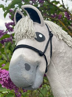 Hobby horse - 5