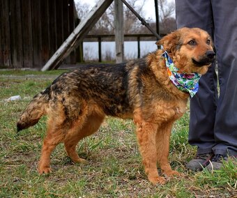 EILYN K ADOPCI - 1 ROK, KLIDNÁ, ODDANÁ, MILÁ - 5