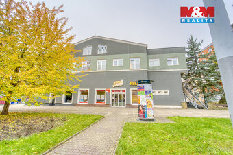 Pronájem bytu 1+kk, 28 m², Plzeň, ul. Nepomucká - 5