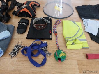 Výbava pro menšího psa (např. pro vipeta) za jednu cenu - 5